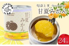 缶詰工場直送 特選果実「旬ほとぎ」甘夏みかん 24缶( みかん ミカン 甘夏 甘夏みかん 缶詰 みかん缶 シラップ漬け )【D4-018】