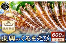 【先行予約】【宅配BOX不可】東興のくるまえび600g入【1月～2月上旬発送】( くるまえび 東興のくるまえび 車海老 海老 エビ )【C2-041-01M】