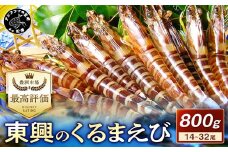 【先行予約】【宅配BOX不可】東興のくるまえび800g入【11月下旬～12月発送】( くるまえび 東興のくるまえび 車海老 海老 エビ )【C8-017-12M】