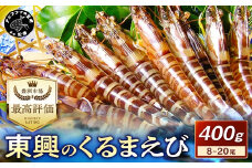 【先行予約】【宅配BOX不可】東興のくるまえび400g入【1月～2月上旬発送】( くるまえび 東興のくるまえび 車海老 海老 エビ )【B6-040-01M】
