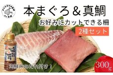海鮮丼のたれ付！長崎県産本まぐろ＆ハーブ仕立ての真鯛 柵セット2種300g( まぐろ マグロ 鮪 たい タイ 鯛 海鮮丼 たれ 海鮮 セット 養殖 刺身 寿司 カルパッチョ )【B1-173】