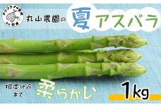 丸山農園の夏アスパラ1kg( アスパラガス アスパラ 野菜 夏野菜 やわらかい 手軽 松浦市 )【B0-162】