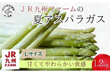 JR九州ファームの夏アスパラガス Lサイズ1.2kg( アスパラガス アスパラ 夏アスパラ 野菜 甘み 柔らかい 松浦市 )【B0-212】