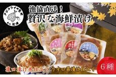 漁協直送！贅沢な海鮮漬け 6種(漬け丼と茶漬け味合わせ)( 海鮮 漬け 漬け丼 お茶漬け とらふぐ トラフグ ぶり ブリ 鰤 真鯛 タイ 贅沢 簡単調理 流水解凍 おつまみ 肴 魚 直送 河豚 惣菜 詰め合わせ 加工品 小分け セット 豪華 時短 手軽 )【B2-200】