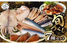 旬(とき)づくし( 干物 魚 セット アジ イカ サバ ブリ 鯛 旬アジ 旬サバ 旬あじ あじ 一夜干し旬さば 塩さば さばフィレ しめさば ぶりみりん 干物 いか ぶり丼 レンコ鯛 詰め合わせ セット 人気セット 大人気セット )【B5-110】