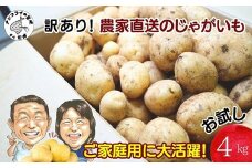 訳あり！農家直送のじゃがいも お試し4kg ( 訳あり じゃがいも いも 肉じゃが サラダ フライドポテト カレー シチュー 煮物 )【A6-031】