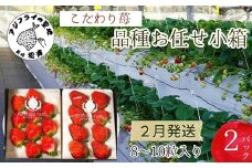 こだわり苺 品種お任せ小箱8粒～10粒×2パック(2月発送)( いちご 苺 イチゴ 紅ほっぺ かおり野 さがほのか 恋みのり 果物 フルーツ フルーツサンド ケーキ )【B0-238】