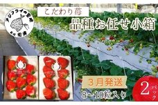 こだわり苺 品種お任せ小箱8粒～10粒×2パック(3月発送)( いちご 苺 イチゴ 紅ほっぺ かおり野 さがほのか 恋みのり 果物 フルーツ フルーツサンド ケーキ )【B0-239】