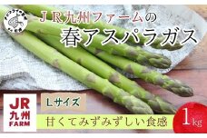 JR九州ファームの春アスパラガス Lサイズ1kg( 野菜 新鮮 アスパラガス アスパラ 春アスパラ 甘み )【B0-211】