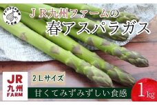 JR九州ファームの春アスパラガス 2Lサイズ1kg( 野菜 新鮮 アスパラガス アスパラ 春アスパラ 甘み )【B2-202】