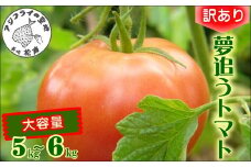 訳あり！ご家庭用に大活躍 夢追うトマト5㎏～6kg( トマト とまと ジューシー リコピン 期間限定 松浦市 松浦産 大玉トマト 訳ありトマト )【B0-244】