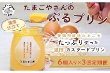 【3か月定期便】たまごやさんのぷるプリン 6個入(濃厚仕立て)×3回( 新鮮 赤たまご ぷりん プリン 濃厚 カスタード 定期便 )【C7-017】