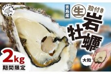 【期間限定】青島産 大粒殻付き生岩ガキ 2kg( カキ 岩ガキ 青島産 国産 期間限定 お取り寄せ )【B4-122】