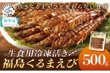 ＼お中元熨斗対応／生食用冷凍活き〆福島くるまえび500g×1パック( 車エビ クルマエビ くるまえび えび エビ 海老 生食用 )【B3-087】