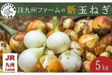 JR九州ファームの 新玉ねぎ 5kg( 玉ねぎ 甘い 野菜 新玉ねぎ 野菜 国産 送料無料 )【B0-247】