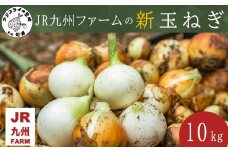 JR九州ファームの 新玉ねぎ 10kg( 玉ねぎ 甘い 野菜 新玉ねぎ 野菜 国産 送料無料 )【B7-036】