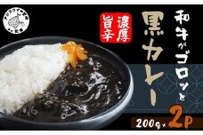 和牛がゴロッと黒カレー 200g×2P ( カレー 和牛 和牛カレー 冷凍 簡単 )【A6-034】