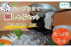 ＼お中元熨斗対応／鯛だし万能すーぷ付！ハーブ仕立ての鯛しゃぶセット工場直送たっぷり3人前( 真鯛 ハーブ 鯛だし 凝縮 鯛しゃぶ カルパッチョ パスタ ハーブ飼料 )【B1-157】