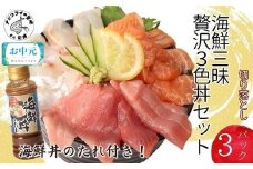 ＼お中元熨斗対応／海鮮丼のたれ付！海鮮三昧贅沢3色丼セット 100g×3パック( 海鮮 海鮮丼 マグロ まぐろ 鮪 真鯛 タイ たい 鮭 サーモン ハーブ 切り落とし セット 刺身 カルパッチョ 簡単調理 )【B0-223】