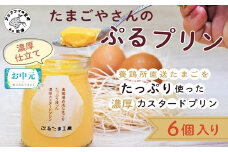 ＼お中元熨斗対応／たまごやさんのぷるプリン 6個入(濃厚仕立て)( 新鮮 赤たまご ぷりん プリン 濃厚 カスタード )【A9-047】