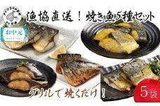 ＼お中元熨斗対応／漁協直送！焼き魚5種5袋セット( さば サバ 鯖 ぶり ブリ 鰤 みりん漬け 塩焼き 西京漬け 長崎県産 国産 肴 急速凍結 旨味 焼くだけ 簡単 魚セット 焼き魚 焼き魚セット 魚 さかな おつまみ おかず 晩ご飯 人気 大人気 おすすめ 美味しい 海の幸 海鮮 海産物 魚介類 グリル さばみりん さば西京漬け 塩さば 塩サバ ぶりみりん ぶり西京漬け )【B0-224】