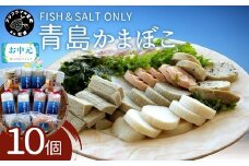 ＼お中元熨斗対応／FISH&SALT ONLY 青島かまぼこ10個入り( 青島 かまぼこ 添加物なし 弾力 新鮮 伝統製法 ぷりぷり 無添加 長崎 )【B5-099】