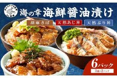 海の幸 海鮮醤油漬けセット【1月発送】( アジ サバ ブリ 天然 あじ さば ぶり 海鮮丼 流水解凍 お手軽 時短 簡単 人気 大人気 おつまみ おかず 魚 おすすめ 海鮮 漬け 丼 詰め合わせ 惣菜 加工品 冷凍 おいしい 刺身 小分け パック セット 国産 ギフト 胡麻さば 長崎県 松浦市 )【A9-055-01M】