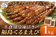 生食用冷凍活き〆福島くるまえび500g×2パック( 車エビ クルマエビ くるまえび えび エビ 海老 生食用 )【C5-029】