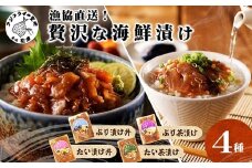 漁協直送！贅沢な海鮮漬け 4種(漬け丼と茶漬け味合わせ) ( 海鮮 漬け 漬け丼 お茶漬け ぶり 鯛 時短料理 小分け )【A8-028】