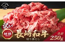 訳あり！【A4～A5】長崎和牛切り落とし250g( 牛肉 おすすめ 長崎和牛 バーベキュー 焼肉 切り落とし 冷凍 国産 送料無料 赤身 )【A6-036】