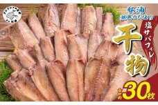 松浦・潮風のたより 塩サバフィレ一夜干し30枚入り( 魚 干し物 サバ 海鮮 干物 おすすめ 人気 セット ひもの さば 詰め合わせ 国産 )【B4-126】
