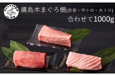 鷹島産本まぐろ柵(赤身・中トロ・大トロ) 合わせて1000g( マグロ まぐろ 赤身 中トロ 大トロ 本まぐろ 手軽 おつまみ 柵 流水解凍 )【E2-014】