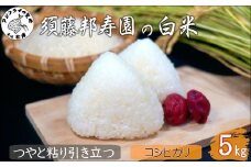 【令和7年産米】須藤邦寿園の白米 コシヒカリ5kg( 米 コメ お米 コシヒカリ こしひかり 5kg 5キロ 甘い 甘み 粘り 精米 国産 送料無料 )【B6-051】