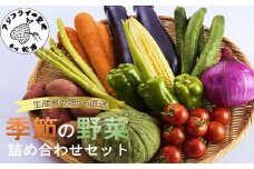 季節の野菜詰め合わせ【6月発送】( 季節 野菜 旬 安心 新玉ねぎ トマト じゃがいも 白菜 キャベツ きゅうり )【A9-045-06M】