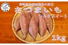 【長崎県松浦市産】畑の宝石 さつまいも(シルクスイート) 1kg ( さつまいも シルクスイート 長崎県松浦市産 長崎県産 )【A4-001】