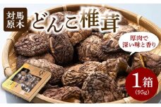 【最速発送】 対馬 原木 どんこ椎茸 95g《対馬市》【うえはら株式会社】 対馬産 肉厚 しいたけ 乾燥 きのこ 贈り物  スピード発送 最短発送 [WAI008]