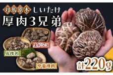 対馬 原木 しいたけ 厚肉 3種 計約220g 《対馬市》【大石商店】椎茸 きのこ 肉厚 干し椎茸 干ししいたけ 乾燥しいたけ [WBJ001]