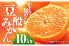 【24年1月限定発送】 対馬 つつ みかん 10kg 《対馬市》【対馬農業協同組合】長崎 豆酘みかん ミカン 柑橘 [WBM005]