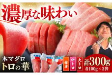 対馬産 本マグロ 詰め合わせ 《 対馬市 》【 桐谷商店 】 トロの華 対馬 新鮮 マグロ 大トロ 鮪 刺身 鮮度抜群 まぐろ 食べ比べ セット [WAQ003]