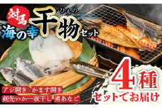 対馬 海の幸 干物 セット《対馬市》【対馬地域商社】九州 長崎 海鮮 [WAC008]冷凍 新鮮 魚 イカ あじ 鯵 アジ 剣先いか カマス 穴子 個包装 BBQ 魚介 浜焼き ひもの 朝食 おつまみ もう1品 対馬 