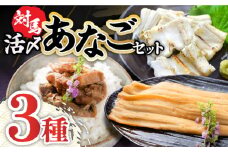 対馬 産 活〆 あなご セット《対馬市》【対馬地域商社】九州 長崎 煮あなご 佃煮 アナゴ [WAC001]冷凍 新鮮 あなご 穴子 下処理 寿司 あなご重 天ぷら おかず もう1品 おつまみ おにぎり ちらし寿司 海鮮 魚介 長崎 対馬
