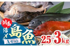 対馬 活〆 島魚セット 2.5～3kg《対馬市》【対馬地域商社】 [WAC004]新鮮 鮮度 直送 冷蔵 鮮魚 刺身 海鮮 魚介 鯛めし 煮付け 魚 ぶり まぐろ 刺し身 定置網 おかず 一品 味噌汁 塩焼き 九州 長崎 鮮魚 鮪 マグロ