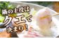 魚 魚介 海鮮 クエ くえ 鍋 クエ鍋 切り身 切身 セット お取り寄せ アラ 希少 冷凍 新鮮 海の幸 下処理 小分け