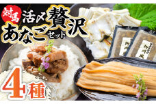 対馬産 あなご 贅沢 セット 《対馬市》【対馬地域商社】九州 長崎 煮あなご 佃煮 アナゴ [WAC002]冷凍 新鮮 あなご 穴子 柳川風 下処理 寿司 あなご重 天ぷら おかず もう1品 おつまみ おにぎり ちらし寿司 海鮮 魚介 長崎 対馬