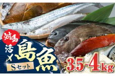 対馬 活〆 島魚セット 3.5～4kg《対馬市》【対馬地域商社】九州 長崎 鮮魚 [WAC007]新鮮 鮮度 直送 冷蔵 鮮魚 刺身 海鮮 魚介 鯛めし 煮付け 魚 ぶり まぐろ 刺し身 定置網 おかず 一品 味噌汁 塩焼き お祝い 鮪 マグロ