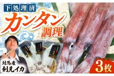 【対馬産】 剣先 イカ （ 生 冷凍 ）3枚 《対馬市》【石川水産】刺身 塩辛 鮮度抜群 海鮮 [WAB003]冷凍 新鮮 下処理 刺身 海鮮 剣先いか あかいか まるいか  おつまみ もう1品 真空パック 簡単調理