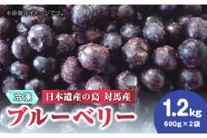 大容量 対馬産 ブルーベリー 1.2kg（ 冷凍 ）【 さほの里ファーム 】《 対馬市 》 有機 旬 果物 フルーツ ぶるーべりー スムージー [WBG001]