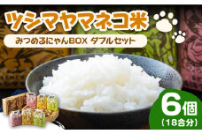 【2025年10月頃より順次発送】佐護 ツシマヤマネコ 米 みつめるにゃんBOX ダブル セット《対馬市》【一般社団法人MIT】 玄米 白米 米 お米 ご飯 新米 ごはん 特別栽培米 減農薬 ランキング 送料無料 贈答用 ギフト [WAP002]