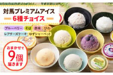 対馬 プレミアム アイス 6種セット《対馬市》【 特定非営利活動法人 對馬次世代協議会（対馬コノソレ）】アイスクリーム セット 九州 長崎 スイーツ [WAM004]