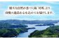 くえ 高級魚 魚 クエ アラ 希少 冷凍 対馬市 海鮮 魚介 刺身 刺し身 鍋 クエ鍋 鍋セット 白身 切り身